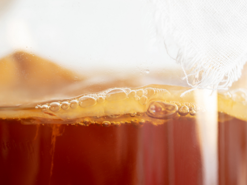 How to Grow a SCOBY (Without Kombucha)