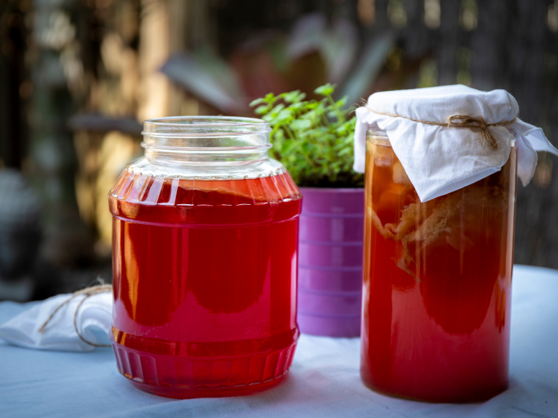 What Is Kombucha Starter Tea (And Is it Necessary)