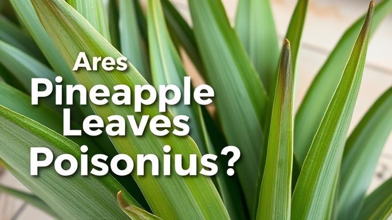 are pineapple leaves poisonous?