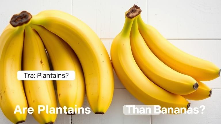 are plantains bigger than bananas?