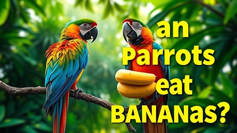 can parrots eat bananas?